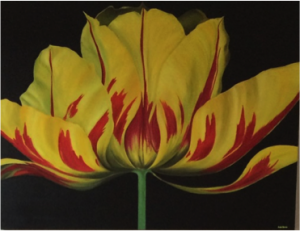 tulp-jpeg